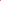 Wild Fern (Pink) - Embroidered Cotton Shirt